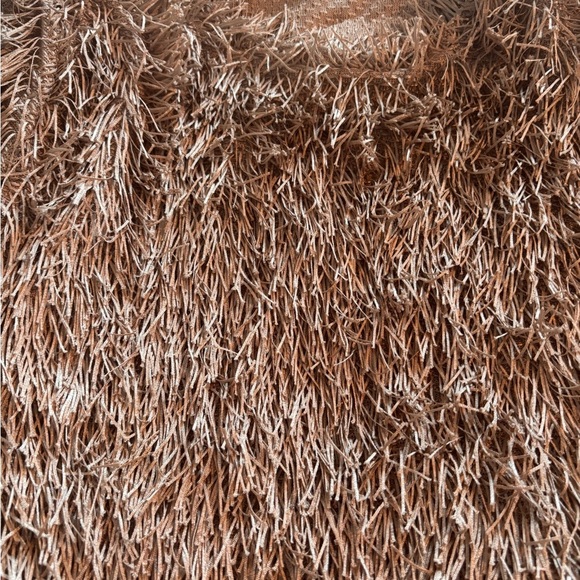 Zara Tan Short Sleeve Fringe Top - Picture 6 of 11